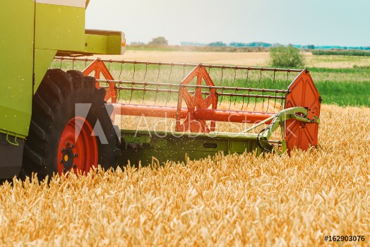 Bild på Combine harvester machine harvesting ripe wheat crops